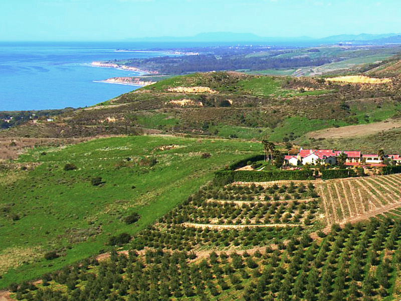 Luxury Properties - Over 3 Acres